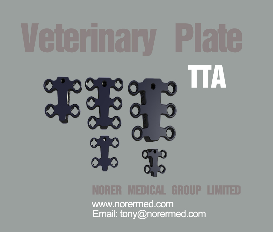 Veterinary Orthopedic Implant Titanium Tta Rapid Cageveterinary Orthopedic Implant